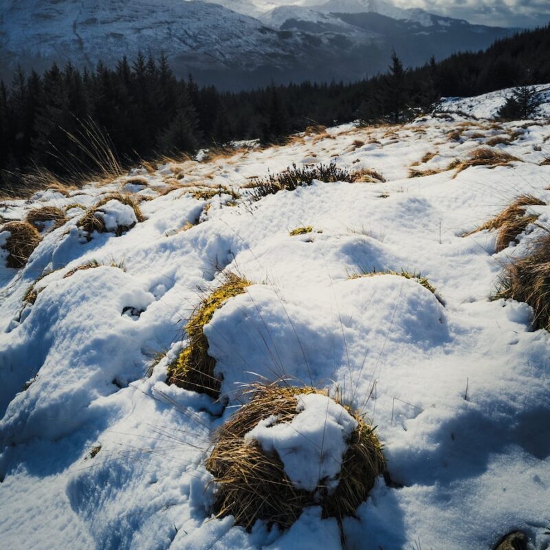 Navigating the Winter Hazard: The Impact of Snow on Windscreens - Strathclyde Windscreens